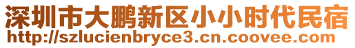 深圳市大鵬新區(qū)小小時(shí)代民宿