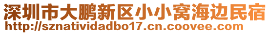 深圳市大鵬新區(qū)小小窩海邊民宿