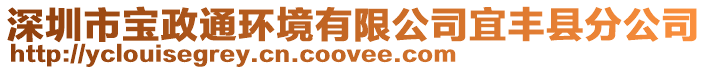 深圳市寶政通環(huán)境有限公司宜豐縣分公司