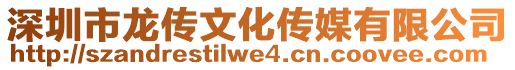 深圳市龍傳文化傳媒有限公司