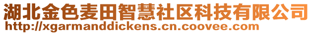 湖北金色麥田智慧社區(qū)科技有限公司