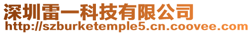 深圳雷一科技有限公司