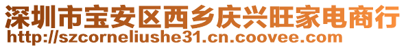 深圳市寶安區西鄉慶興旺家電商行