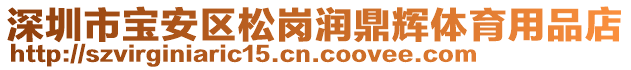 深圳市寶安區松崗潤鼎輝體育用品店