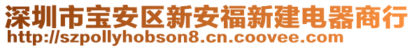 深圳市寶安區(qū)新安福新建電器商行