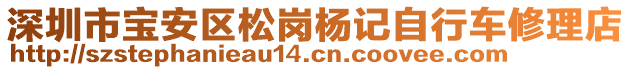 深圳市寶安區(qū)松崗楊記自行車修理店