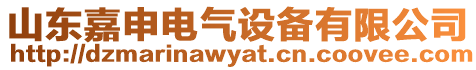 山東嘉申電氣設(shè)備有限公司