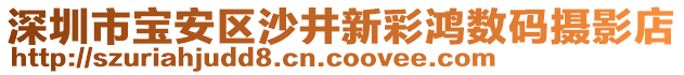 深圳市寶安區(qū)沙井新彩鴻數(shù)碼攝影店