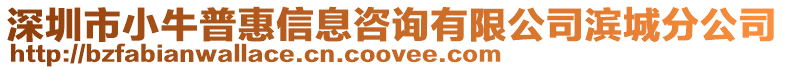 深圳市小牛普惠信息咨詢有限公司濱城分公司