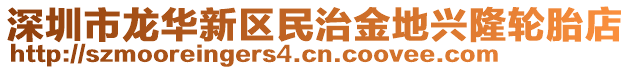 深圳市龍華新區(qū)民治金地興隆輪胎店