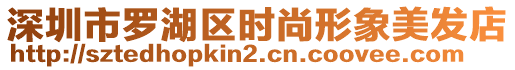 深圳市羅湖區(qū)時(shí)尚形象美發(fā)店