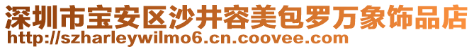 深圳市寶安區(qū)沙井容美包羅萬象飾品店