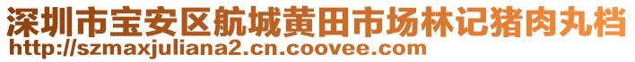 深圳市寶安區(qū)航城黃田市場林記豬肉丸檔