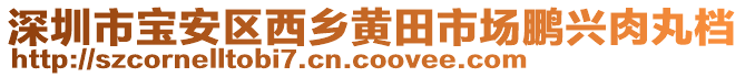 深圳市寶安區西鄉黃田市場鵬興肉丸檔