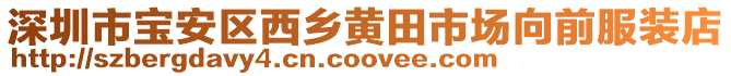 深圳市寶安區西鄉黃田市場向前服裝店