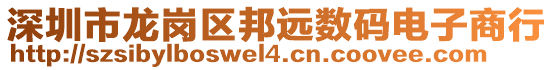 深圳市龍崗區(qū)邦遠(yuǎn)數(shù)碼電子商行