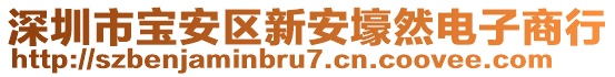 深圳市寶安區(qū)新安壕然電子商行