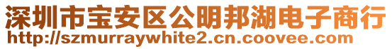 深圳市寶安區(qū)公明邦湖電子商行