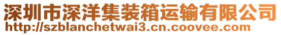 深圳市深洋集裝箱運(yùn)輸有限公司