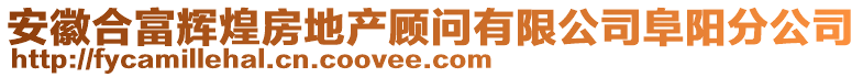 安徽合富輝煌房地產顧問有限公司阜陽分公司