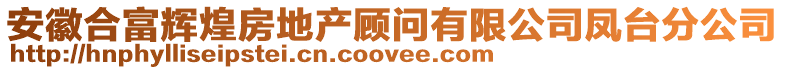 安徽合富輝煌房地產顧問有限公司鳳臺分公司