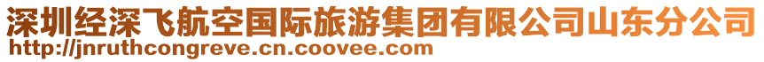 深圳經(jīng)深飛航空國際旅游集團有限公司山東分公司