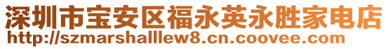 深圳市寶安區(qū)福永英永勝家電店