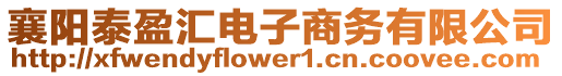 襄陽泰盈匯電子商務(wù)有限公司