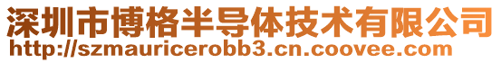 深圳市博格半導(dǎo)體技術(shù)有限公司