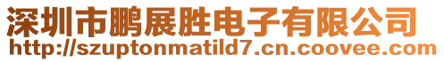 深圳市鵬展勝電子有限公司