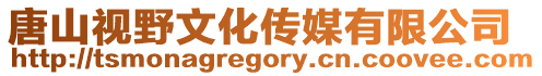 唐山視野文化傳媒有限公司