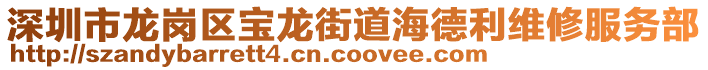 深圳市龍崗區(qū)寶龍街道海德利維修服務(wù)部