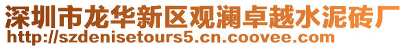 深圳市龍華新區(qū)觀瀾卓越水泥磚廠