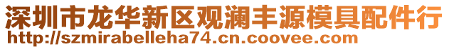 深圳市龍華新區觀瀾豐源模具配件行