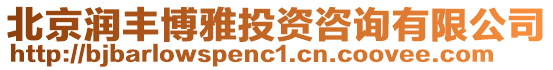 北京潤豐博雅投資咨詢有限公司
