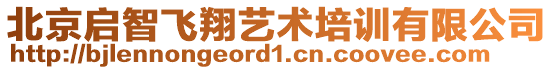 北京啟智飛翔藝術(shù)培訓(xùn)有限公司