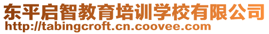 東平啟智教育培訓學校有限公司