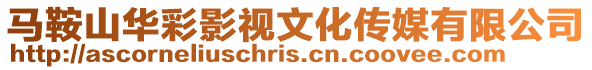 馬鞍山華彩影視文化傳媒有限公司