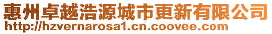 惠州卓越浩源城市更新有限公司