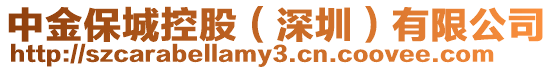 中金保城控股(深圳)有限公司