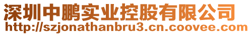 深圳中鵬實業控股有限公司