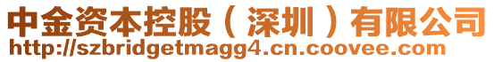 中金資本控股(深圳)有限公司