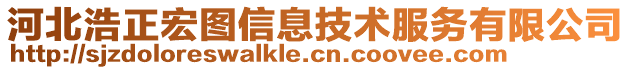河北浩正宏圖信息技術(shù)服務有限公司