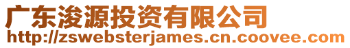 廣東浚源投資有限公司