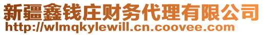 新疆鑫錢莊財務代理有限公司