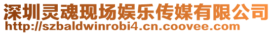 深圳靈魂現場娛樂傳媒有限公司