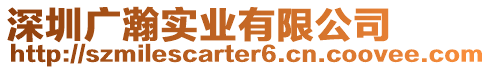 深圳廣瀚實業(yè)有限公司