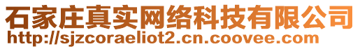 石家莊真實網絡科技有限公司