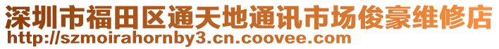 深圳市福田區通天地通訊市場俊豪維修店