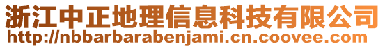 浙江中正地理信息科技有限公司